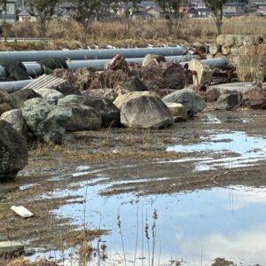 庭園石バリエーションロット